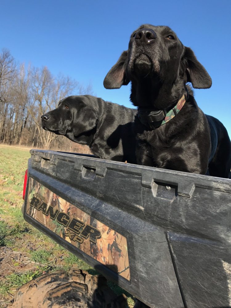 Hank&Jess.JPG