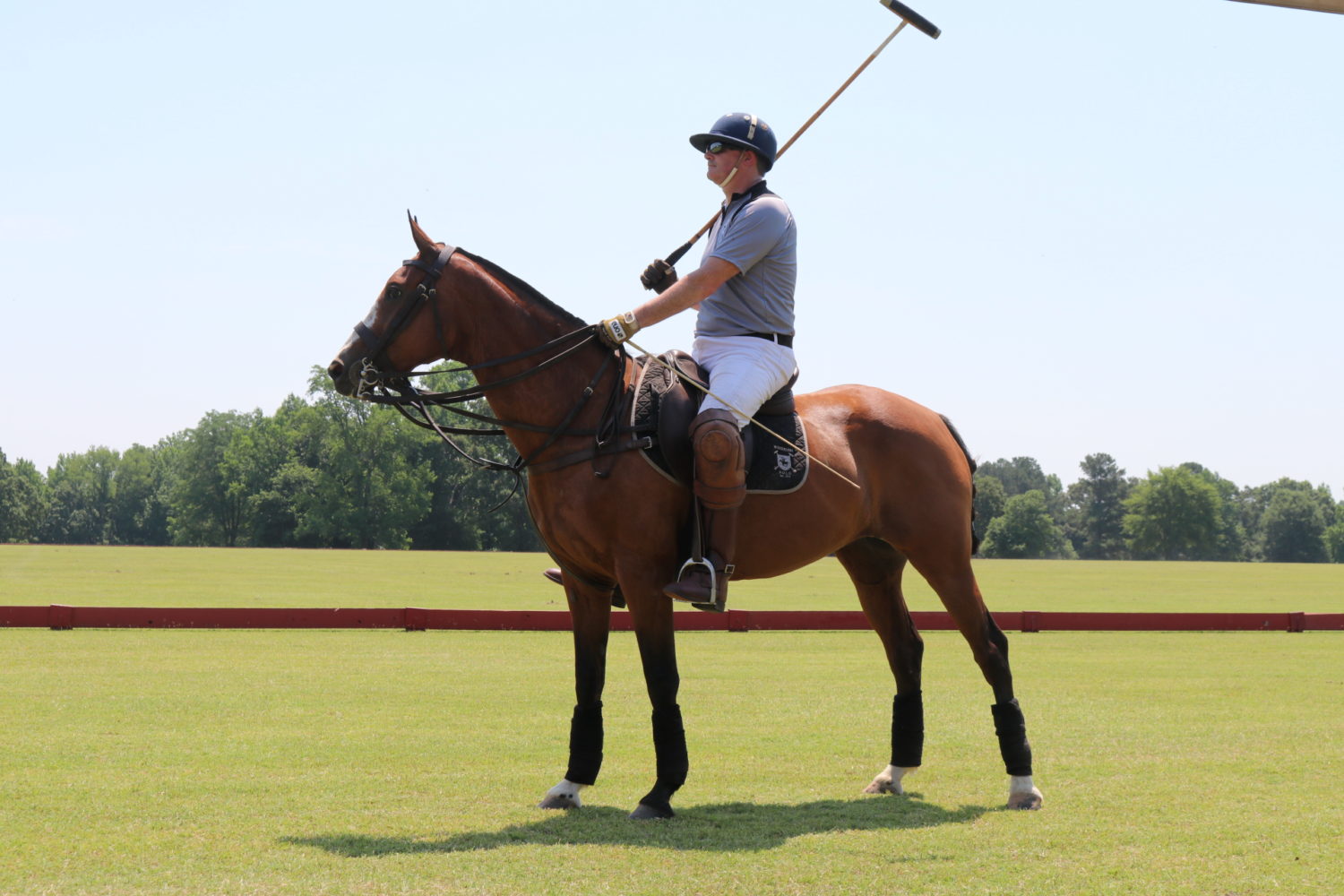 PoloHorse